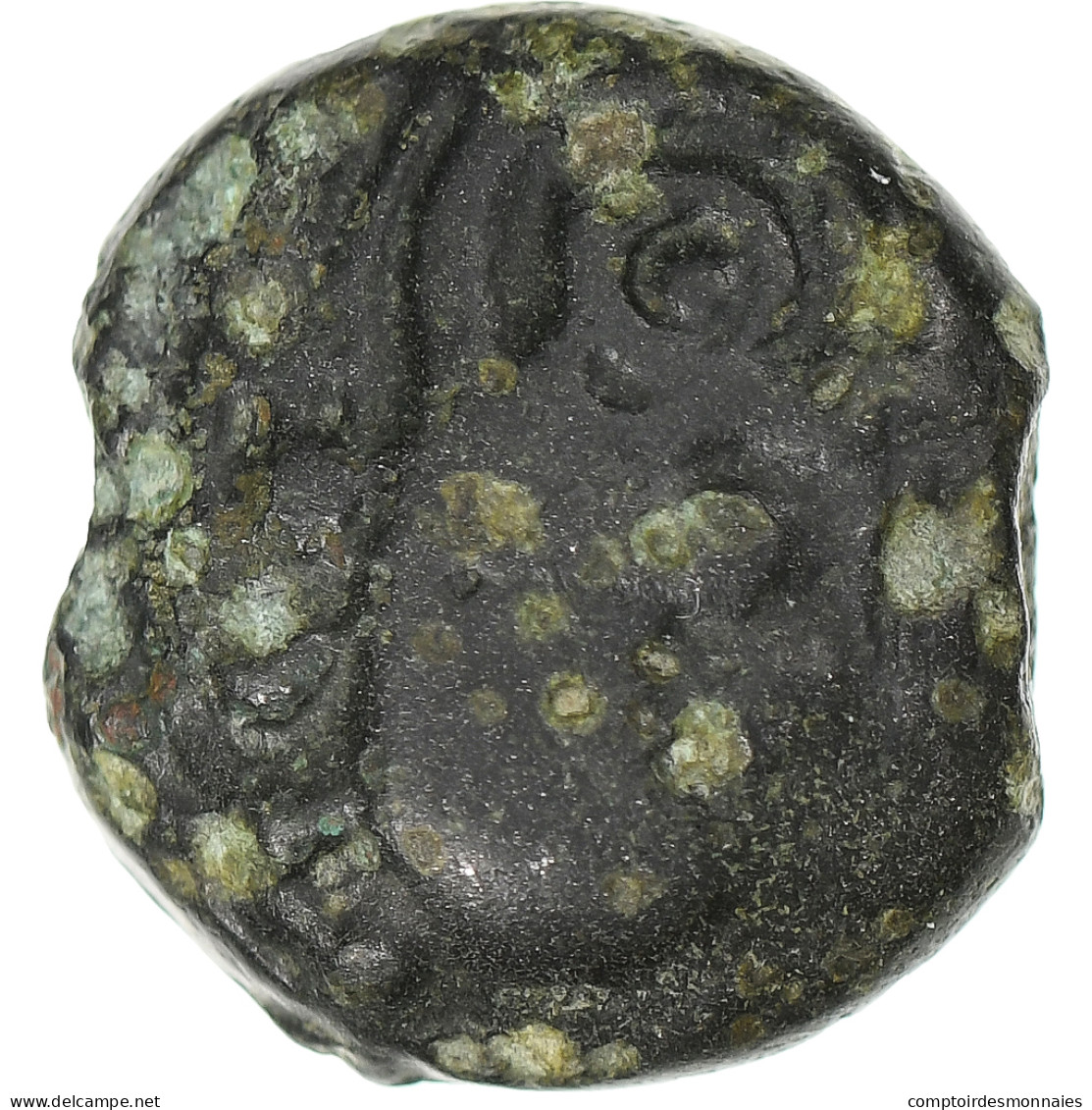Sénons, Bronze YLLYCCI à L'oiseau, 1st Century BC, Bronze, TB+ - Gauloises