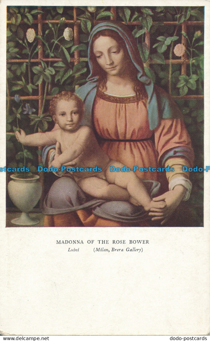 R046864 Madonna Of The Rose Bower. Medici - Monde