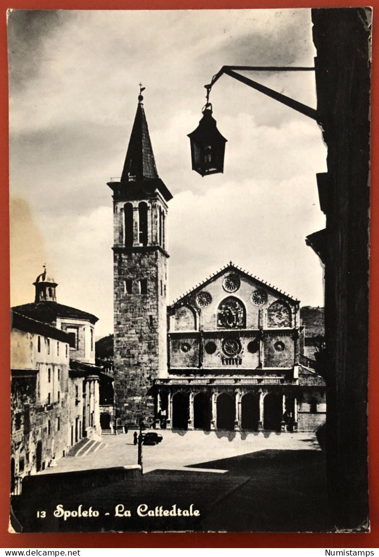 Spoleto - La Cattedrale - 1958 (c821) - Perugia