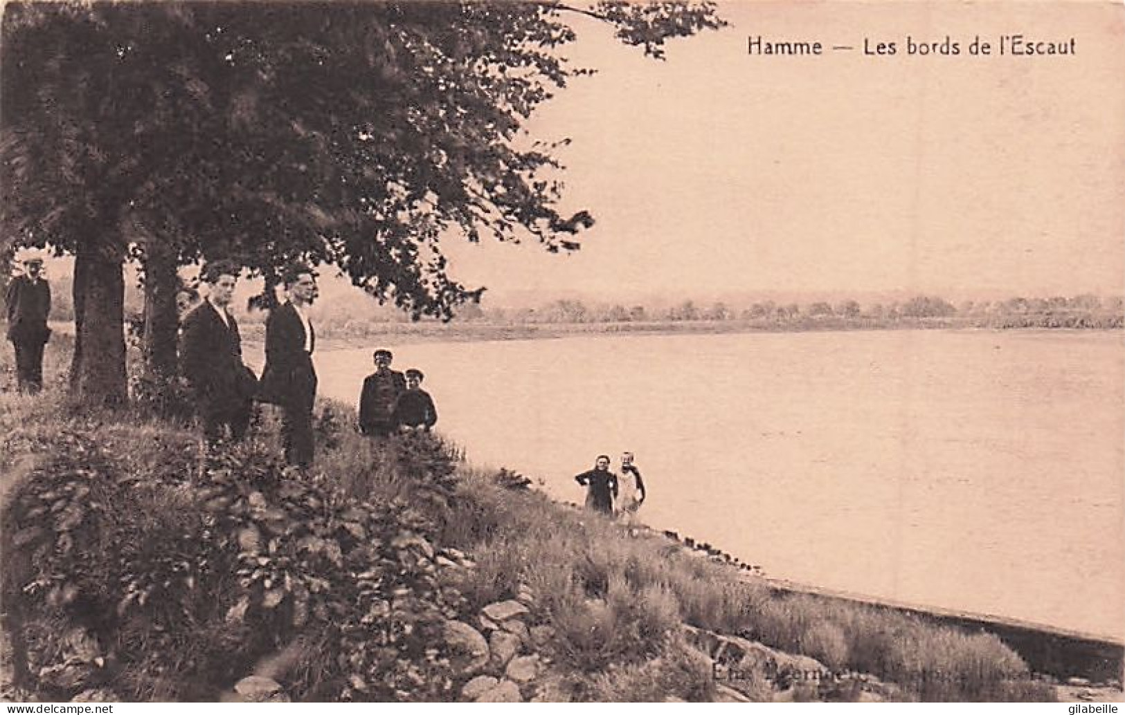 HAMME - Les Bords De L'Escaut - Hamme