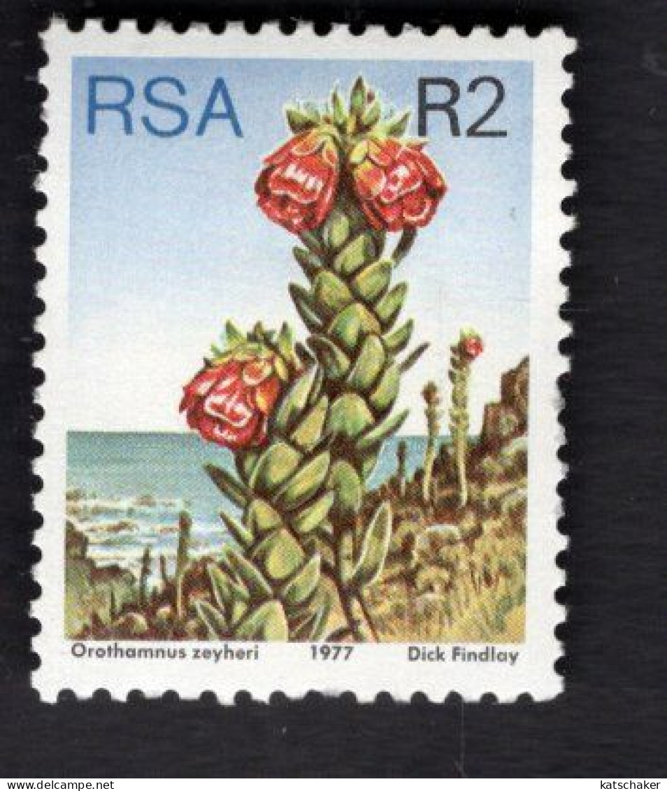 2031829280 1977 SCOTT 491 (XX)  POSTFRIS MINT NEVER HINGED - FLOWERS - Unused Stamps
