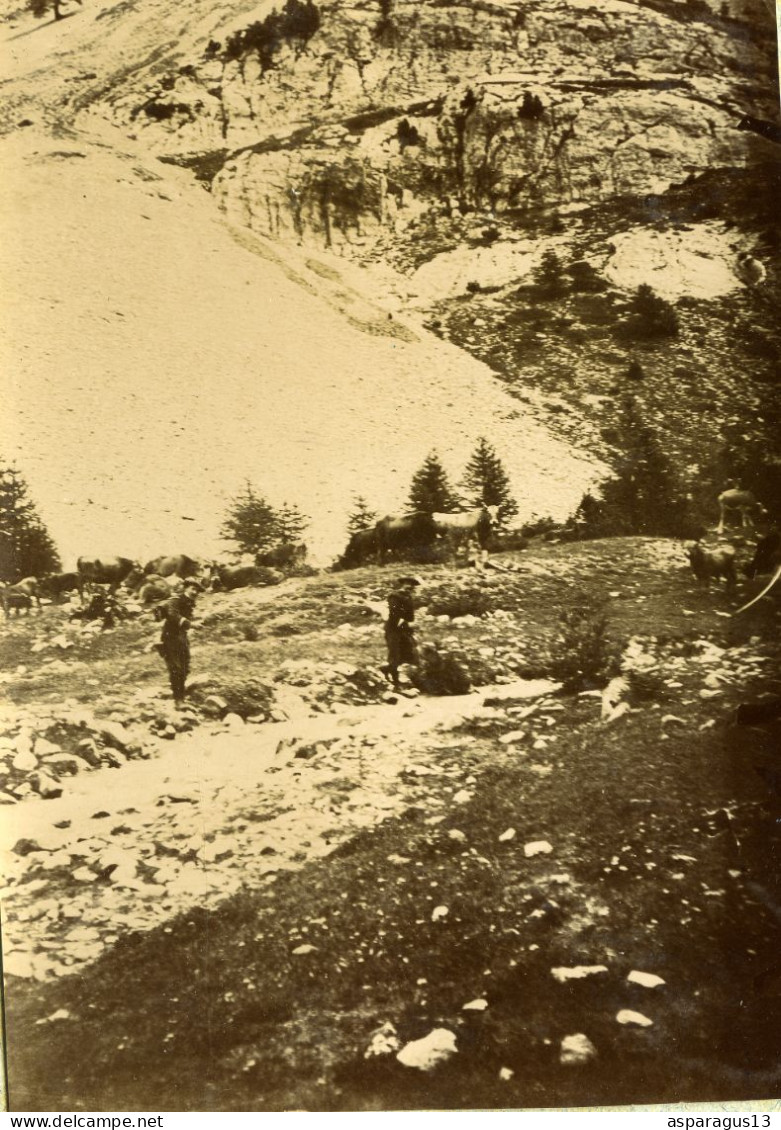 Cascade Du Melezet Queyras Chasseurs Alpins Photo 12x8,5 - Other & Unclassified