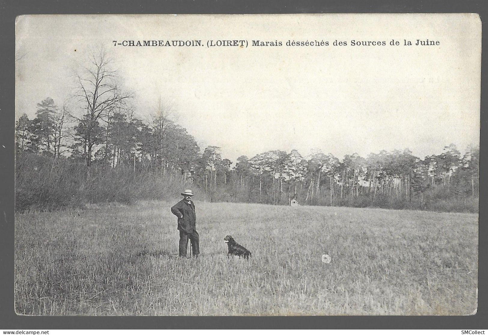 Chambeaudoin, Marais Désséchés Des Sources De La Juine (A18p54) - Autres & Non Classés