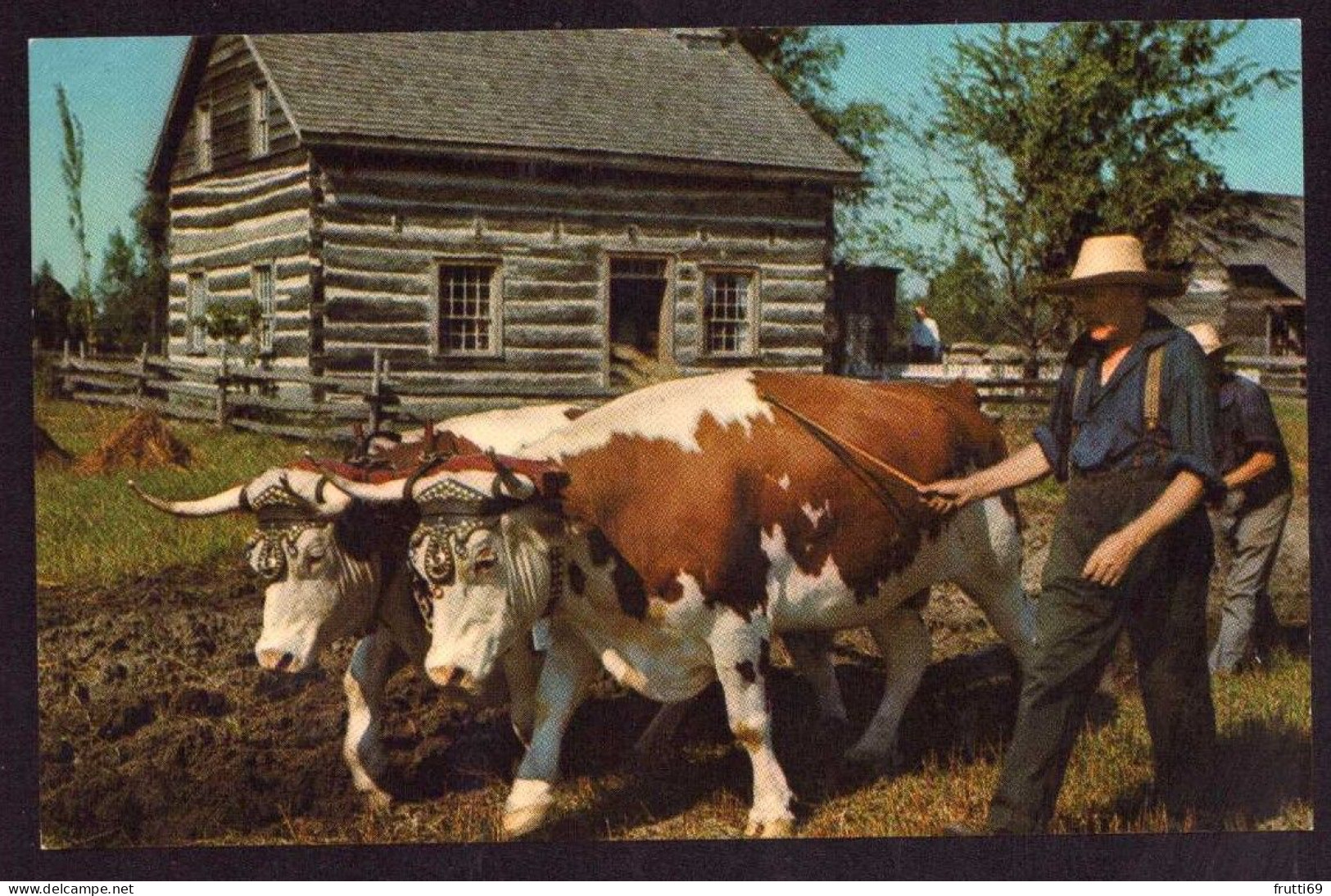 AK 212268 COW / KUH - Canada - Upper Canada Viilage - Cows