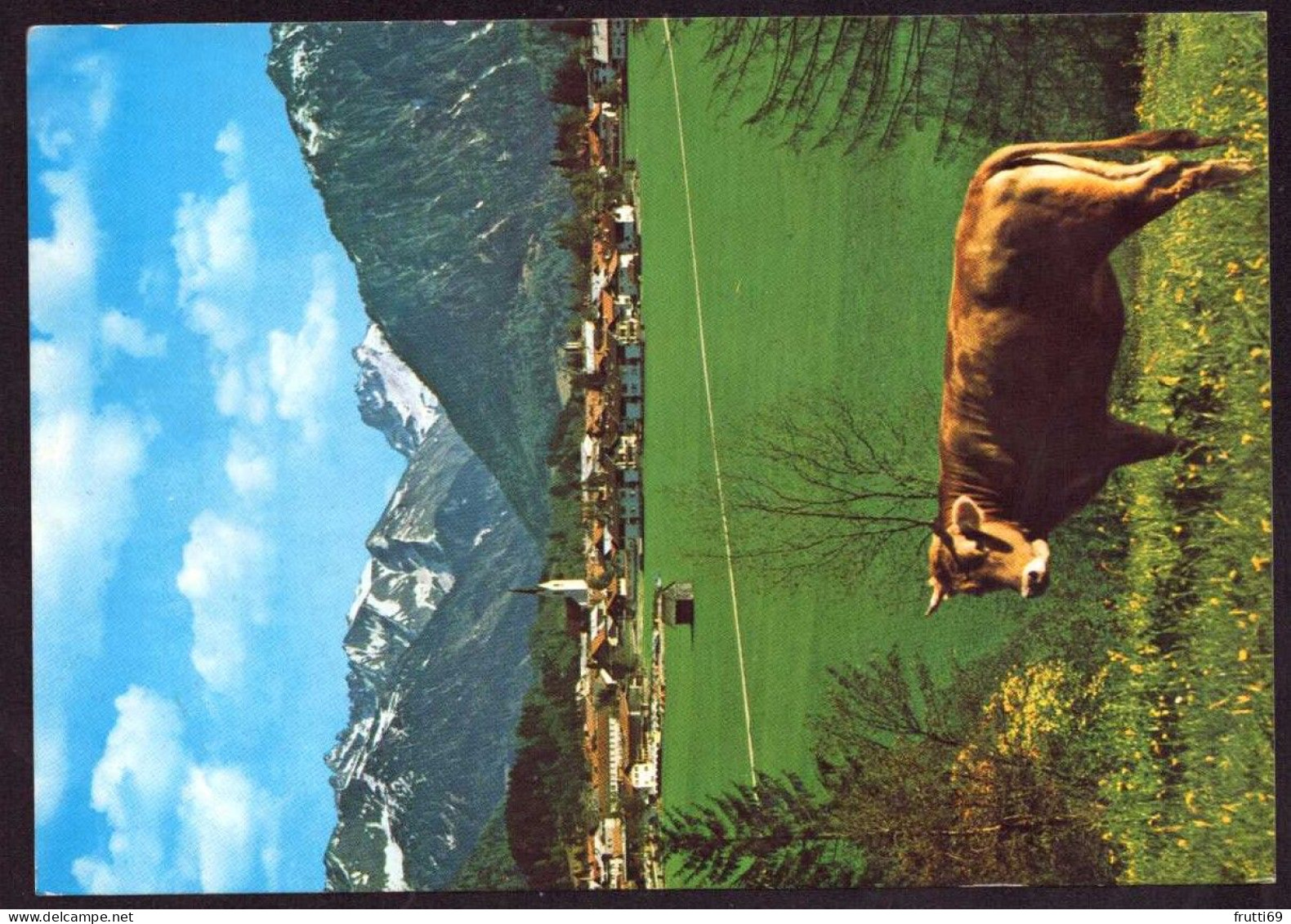 AK 212272 COW / KUH - Oberstdorf - Cows