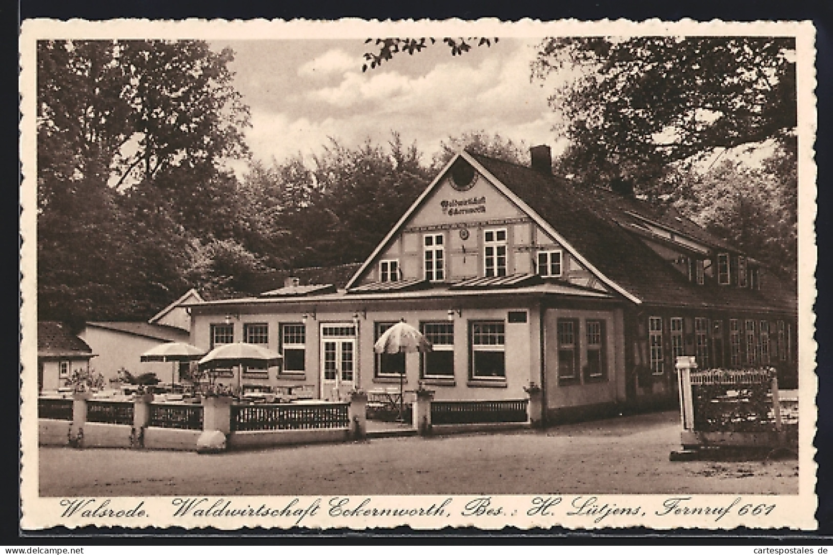 AK Walsrode, Gasthaus Waldwirtschaft Eckernworth H. Lütjens, Von Der Strasse Gesehen  - Walsrode