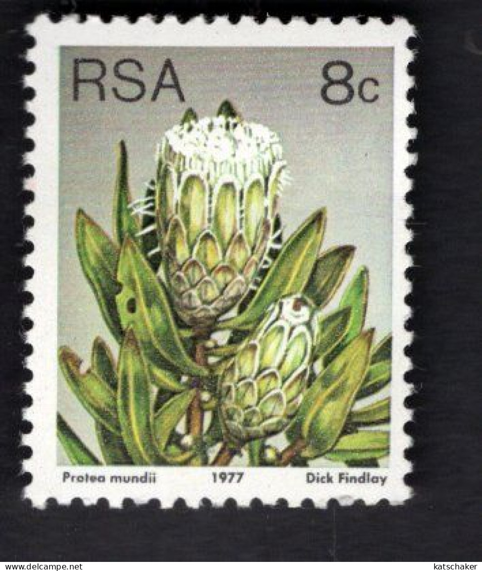 2031832277 1977 SCOTT 482 (XX)  POSTFRIS MINT NEVER HINGED - FLOWERS - Unused Stamps