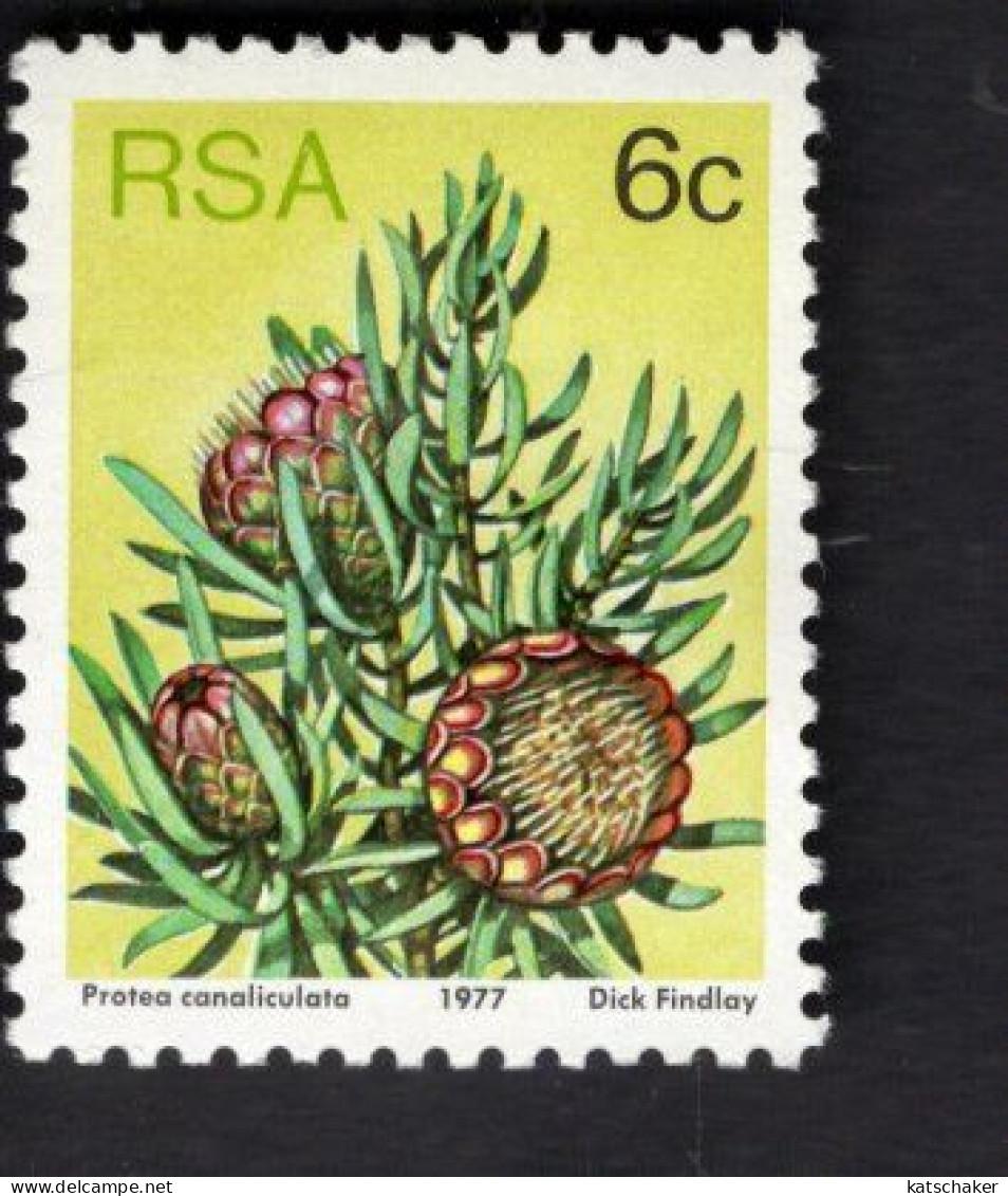 2031832415 1977 SCOTT 480 (XX)  POSTFRIS MINT NEVER HINGED - FLOWERS - Unused Stamps