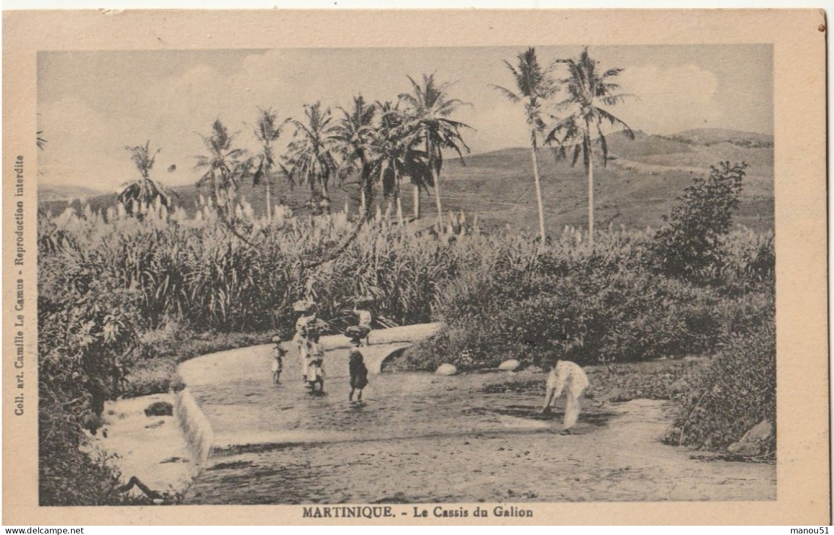 Martinique - Le Cassis Du Galion - Other & Unclassified