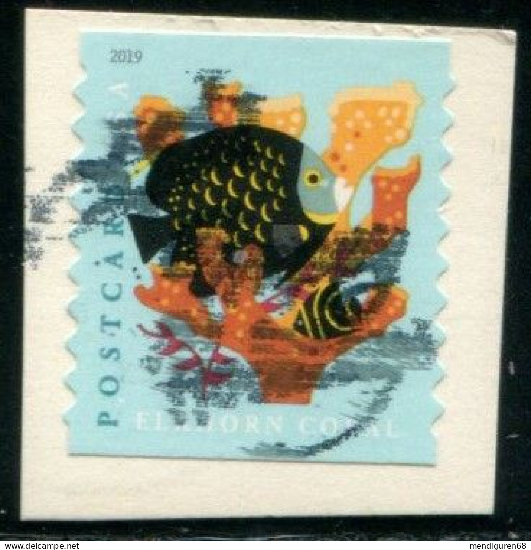 VEREINIGTE STAATEN ETATS UNIS USA 2019 CORALS: ELKHORN  F USED ON PAPER SN 5369 MI 5578BG YT 5198A - Used Stamps