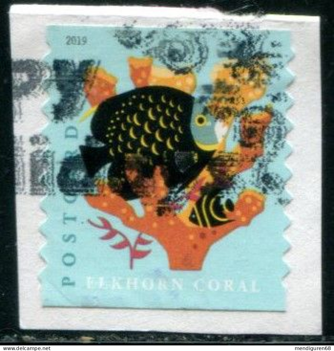 VEREINIGTE STAATEN ETATS UNIS USA 2019 CORALS: ELKHORN  F USED ON PAPER SN 5369 MI 5578BG YT 5198A - Used Stamps