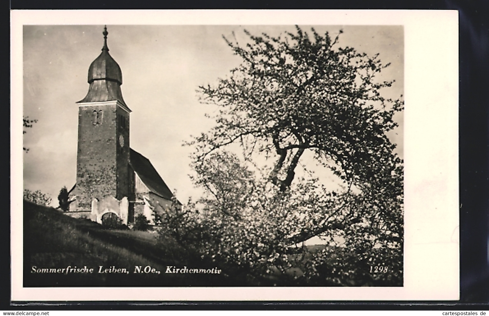 AK Leiben /N. Oe., Kirche Und Blühender Baum  - Autres & Non Classés