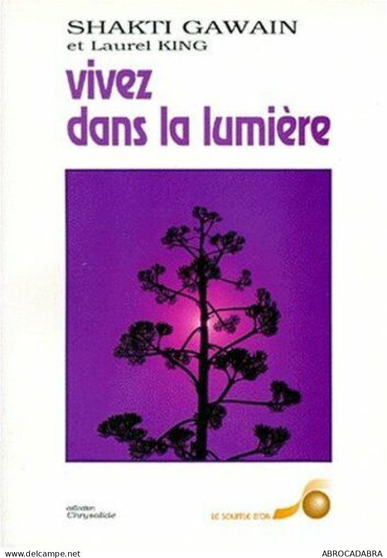 VIVEZ DANS LA LUMIERE.: Guide De Transformation Personnelle Et Planétaire - Psychology/Philosophy