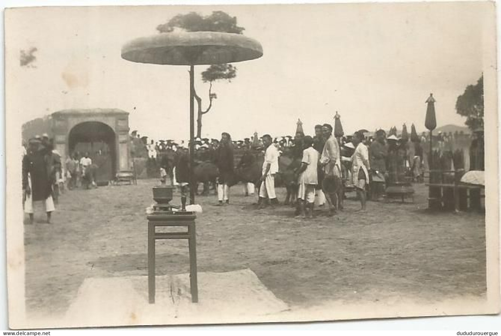 VIETNAM , INDOCHINE , HUE LE 15 MARS 1933 : LES BUFFLONS POUR LES SACRIFICES - Asia