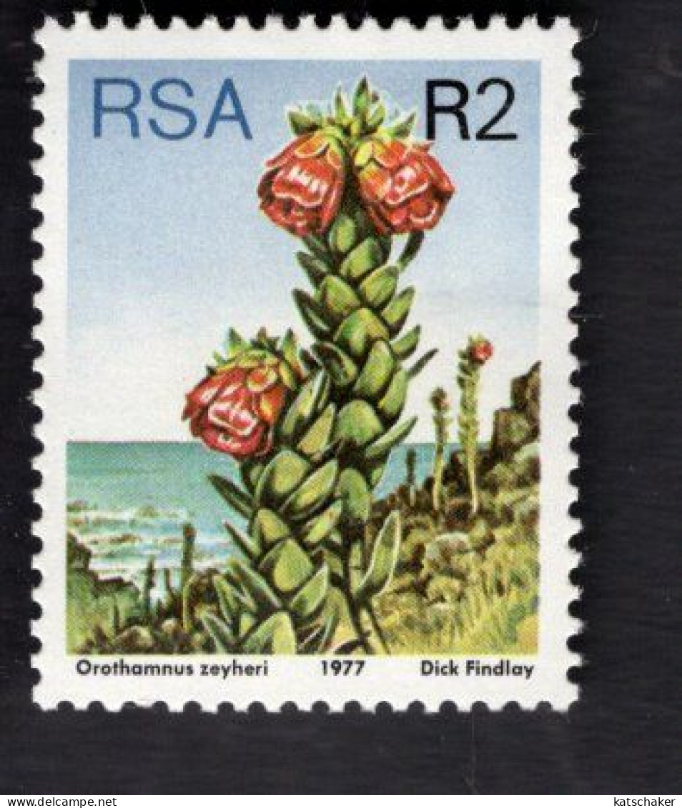 2031835508 1977 SCOTT 491A (XX)  POSTFRIS MINT NEVER HINGED - FLOWERS - Unused Stamps