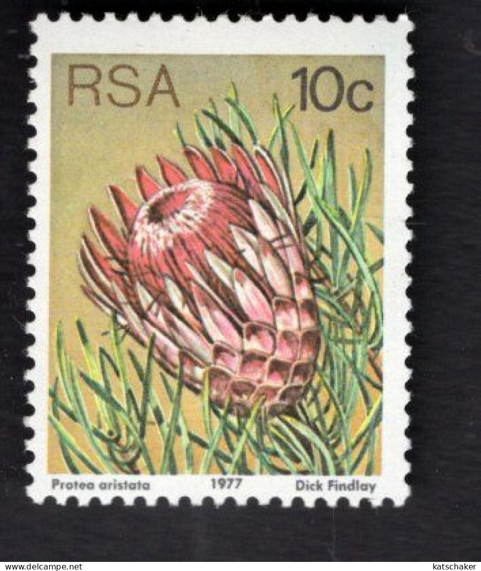 2031835604 1977 SCOTT 484A (XX)  POSTFRIS MINT NEVER HINGED - FLOWERS - Unused Stamps