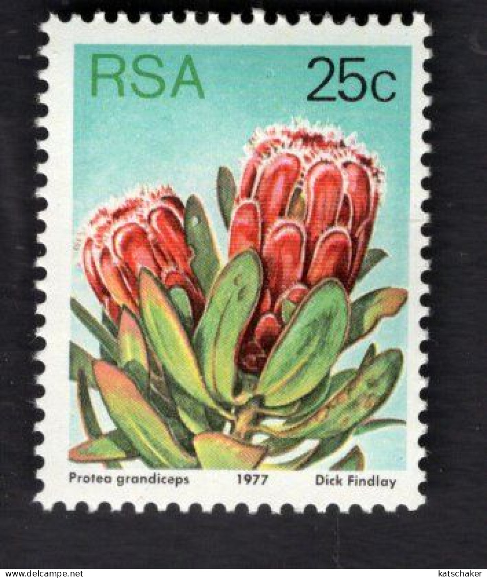 2031835802 1977 SCOTT 487A (XX)  POSTFRIS MINT NEVER HINGED - FLOWERS - Unused Stamps