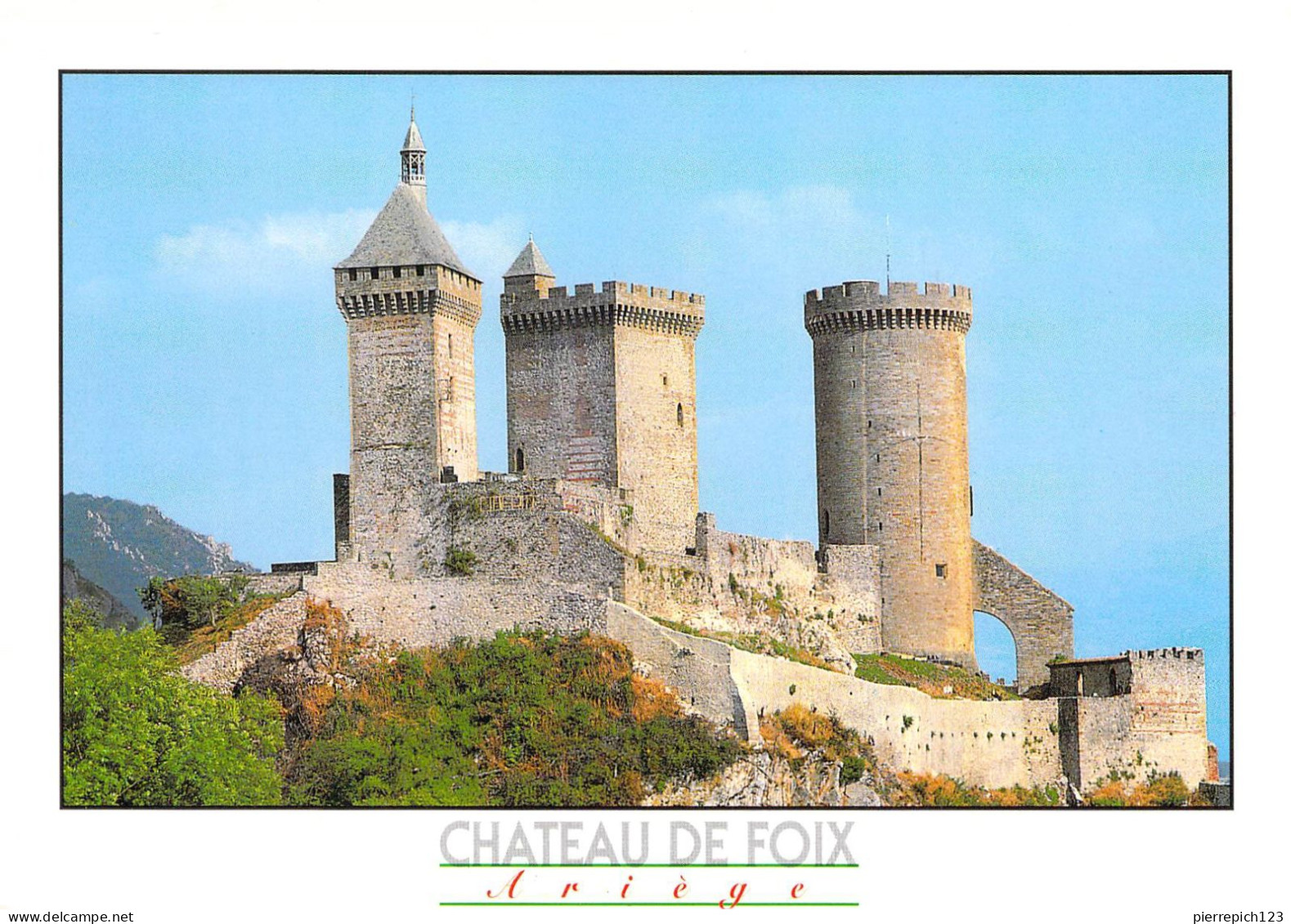 09 - Foix - Vue Sur Le Château - Foix