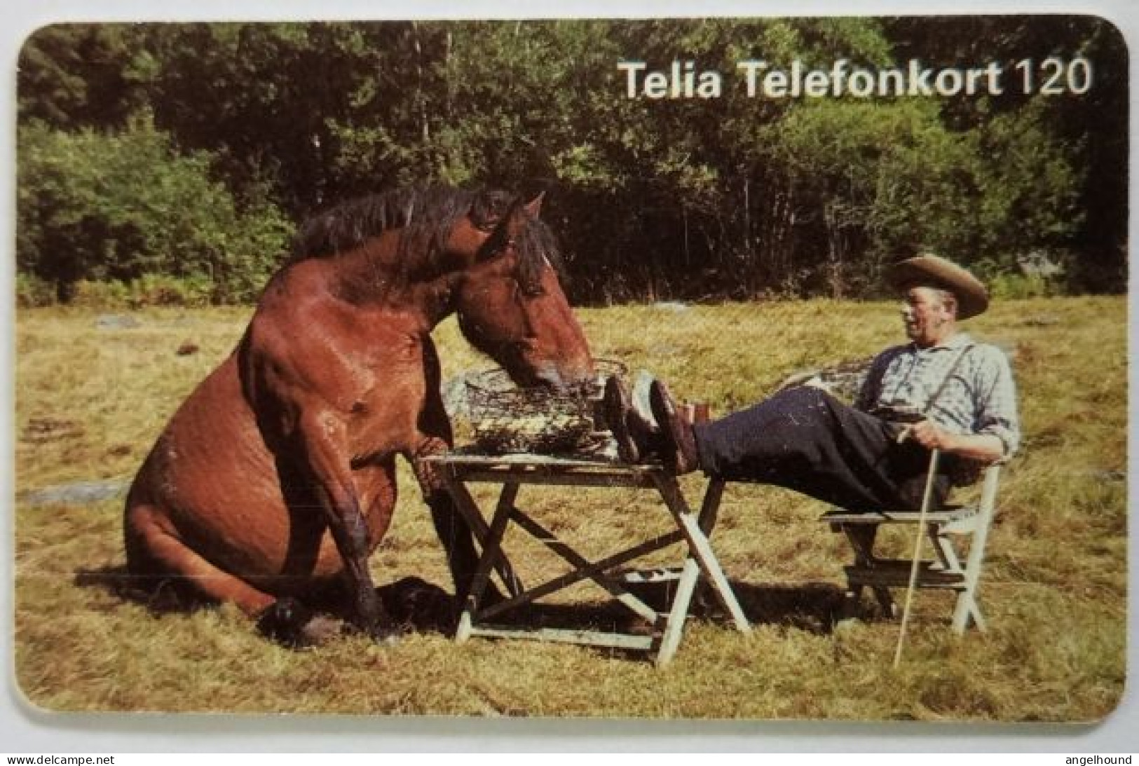 Sweden 120Mk. Chip Card - Horse And Man Sitting - Zweden