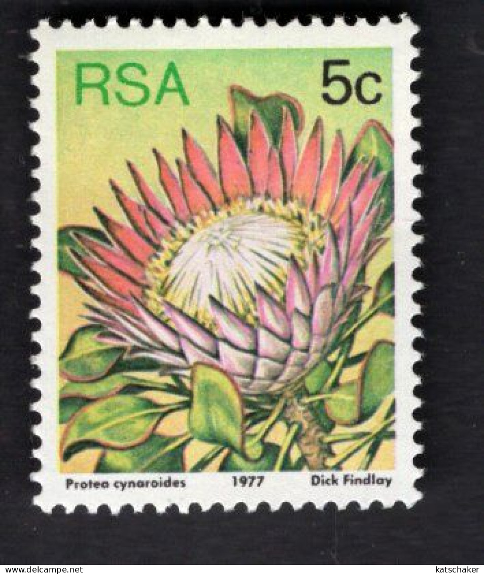 2031837515 1977 SCOTT 479A (XX)  POSTFRIS MINT NEVER HINGED - FLOWERS - Unused Stamps