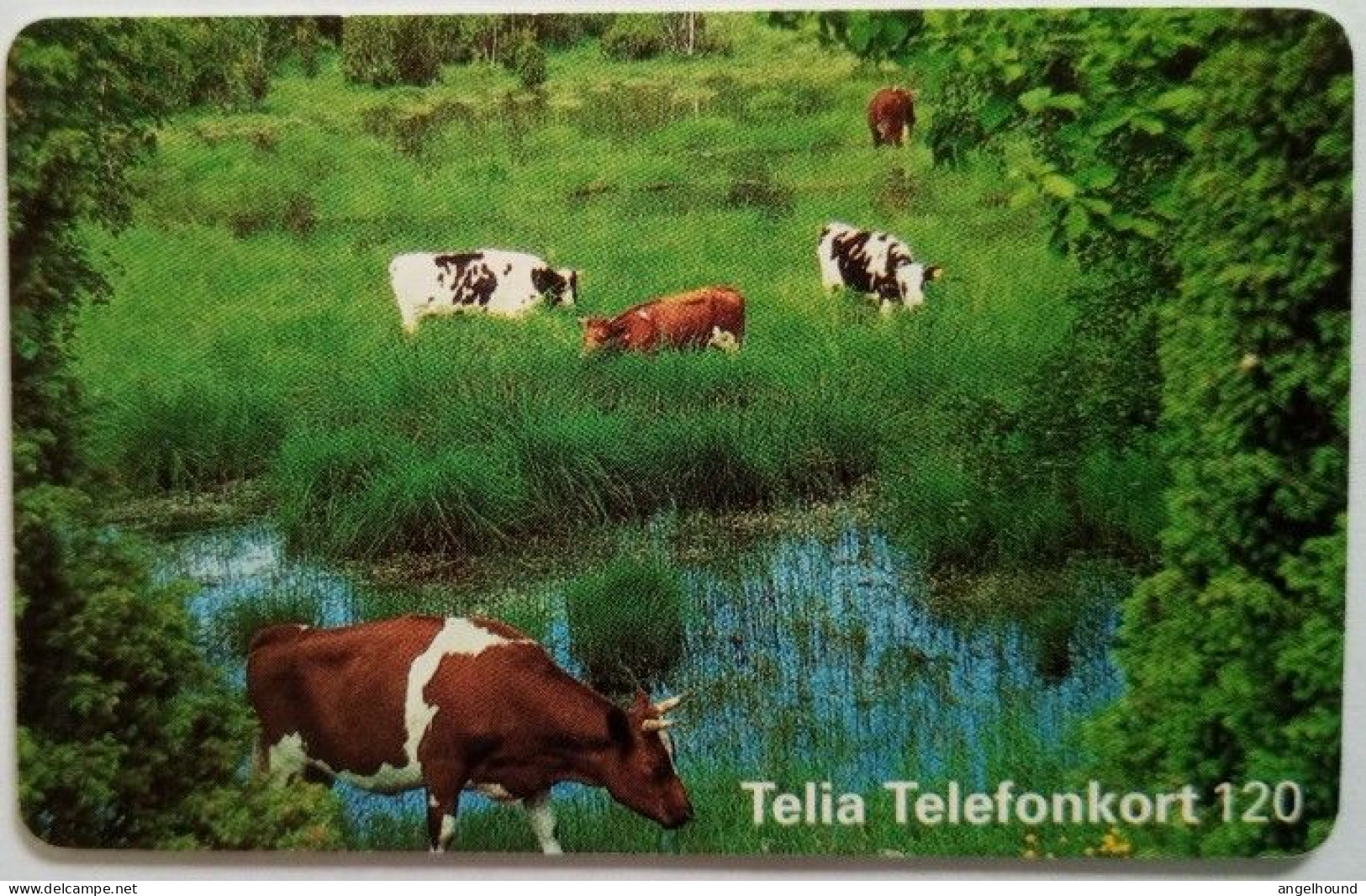 Sweden 120Mk. Chip Card - Landscape With Cows - Sweden