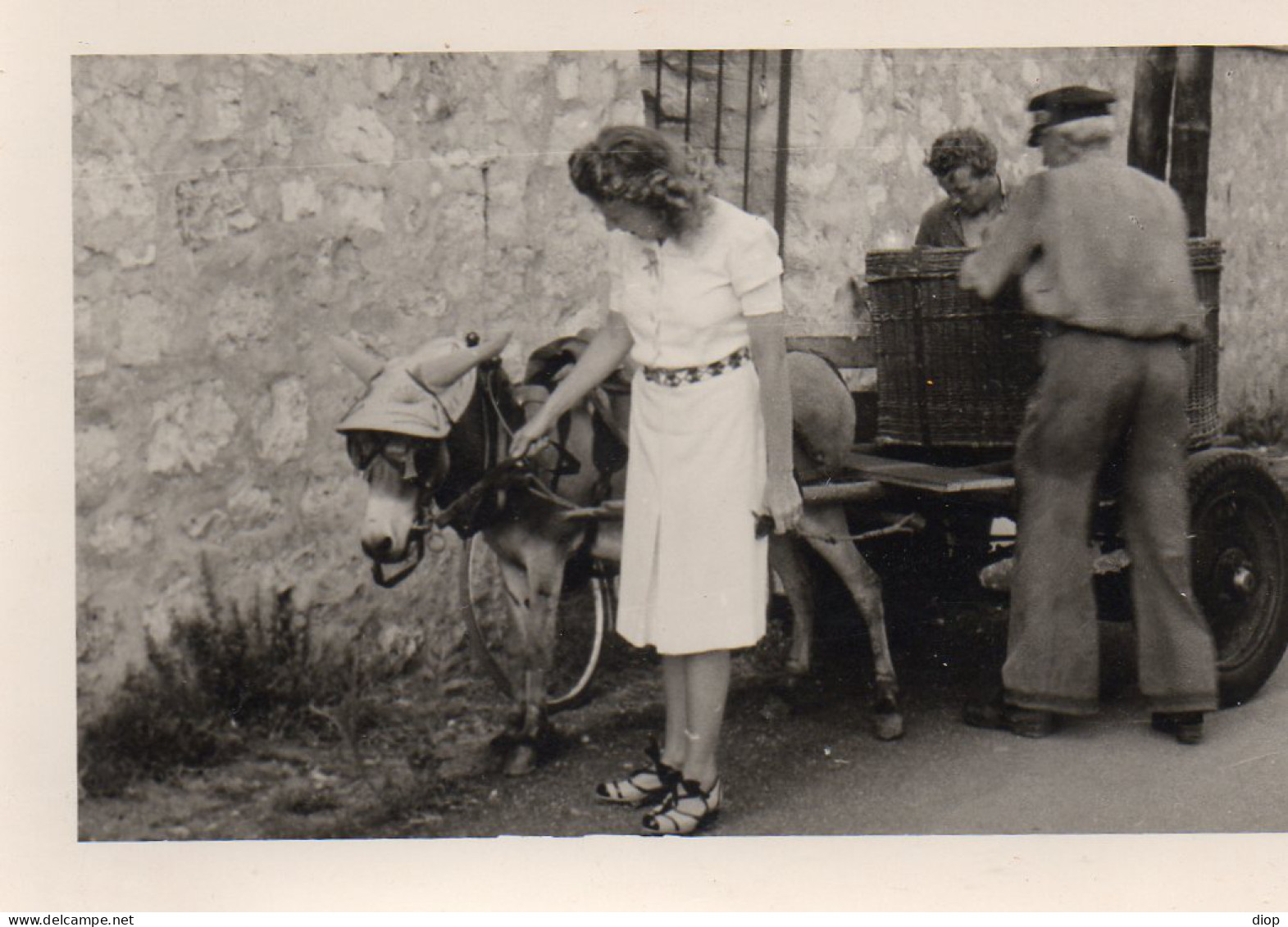 Photo Vintage Paris Snap Shop -femme Women &acirc;ne Donkey - Autres & Non Classés