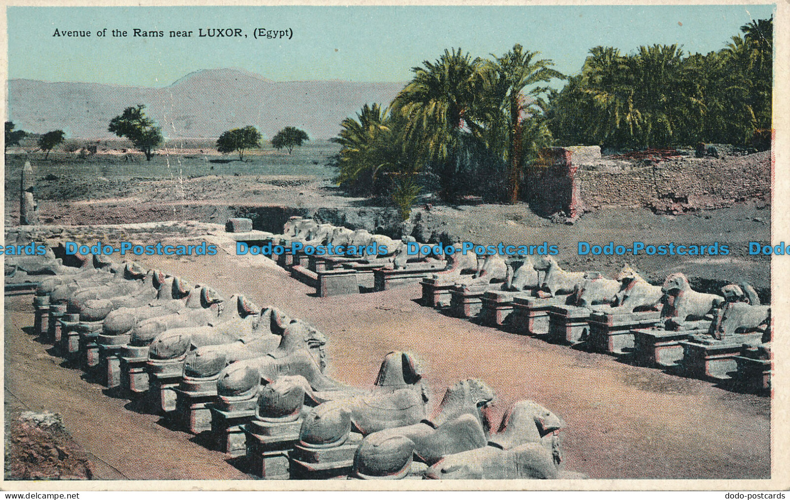R047425 Avenue Of The Rams Near Luxor. Egypt - Monde