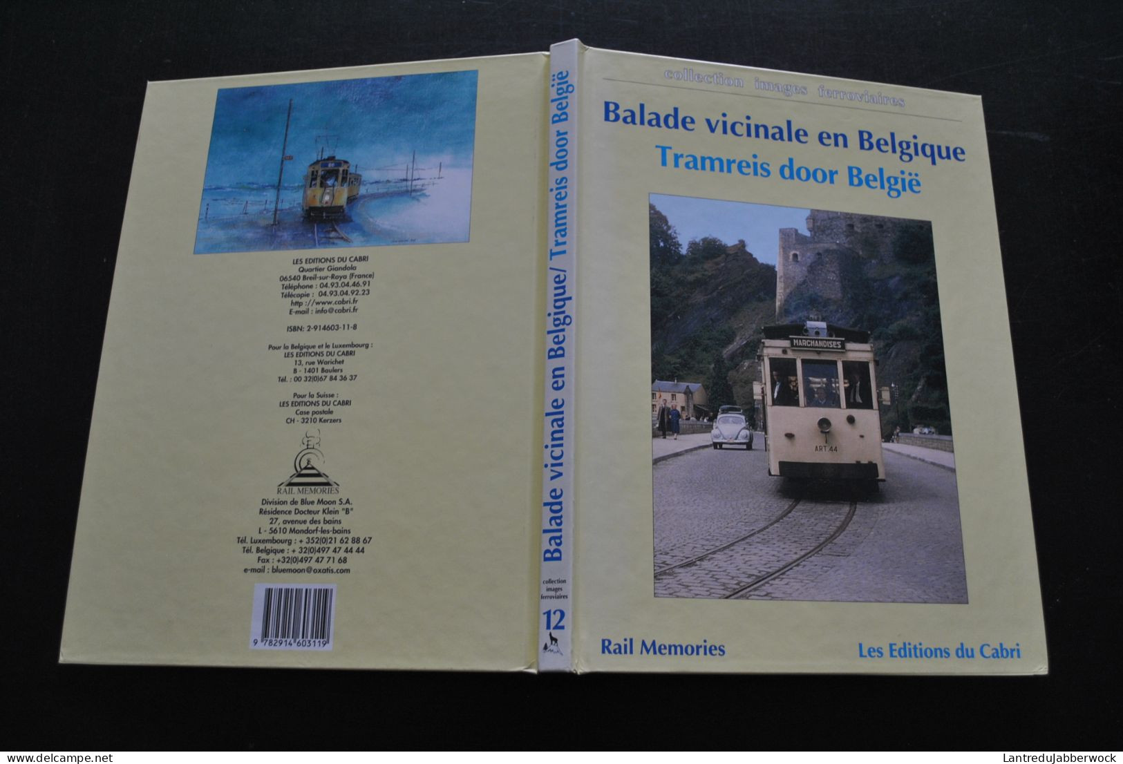 Balade Vicinale En Belgique Tramreis Door Belgie 1950 1975 Editions Du Cabri Collection Images Ferroviaires NMVB SNCV - Railway & Tramway