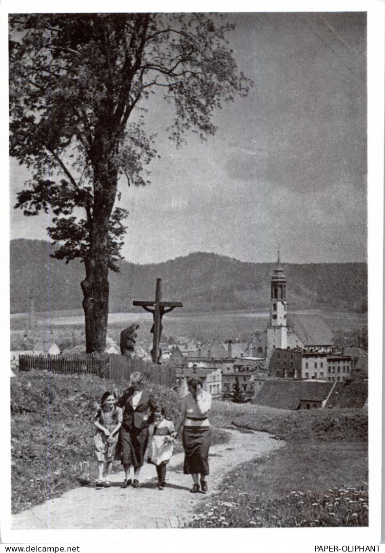 NIEDER - SCHLESIEN - LIEBAU / LUBAWKA Am Fuss Des Riesengebirges, Nachkriegskarte - Schlesien