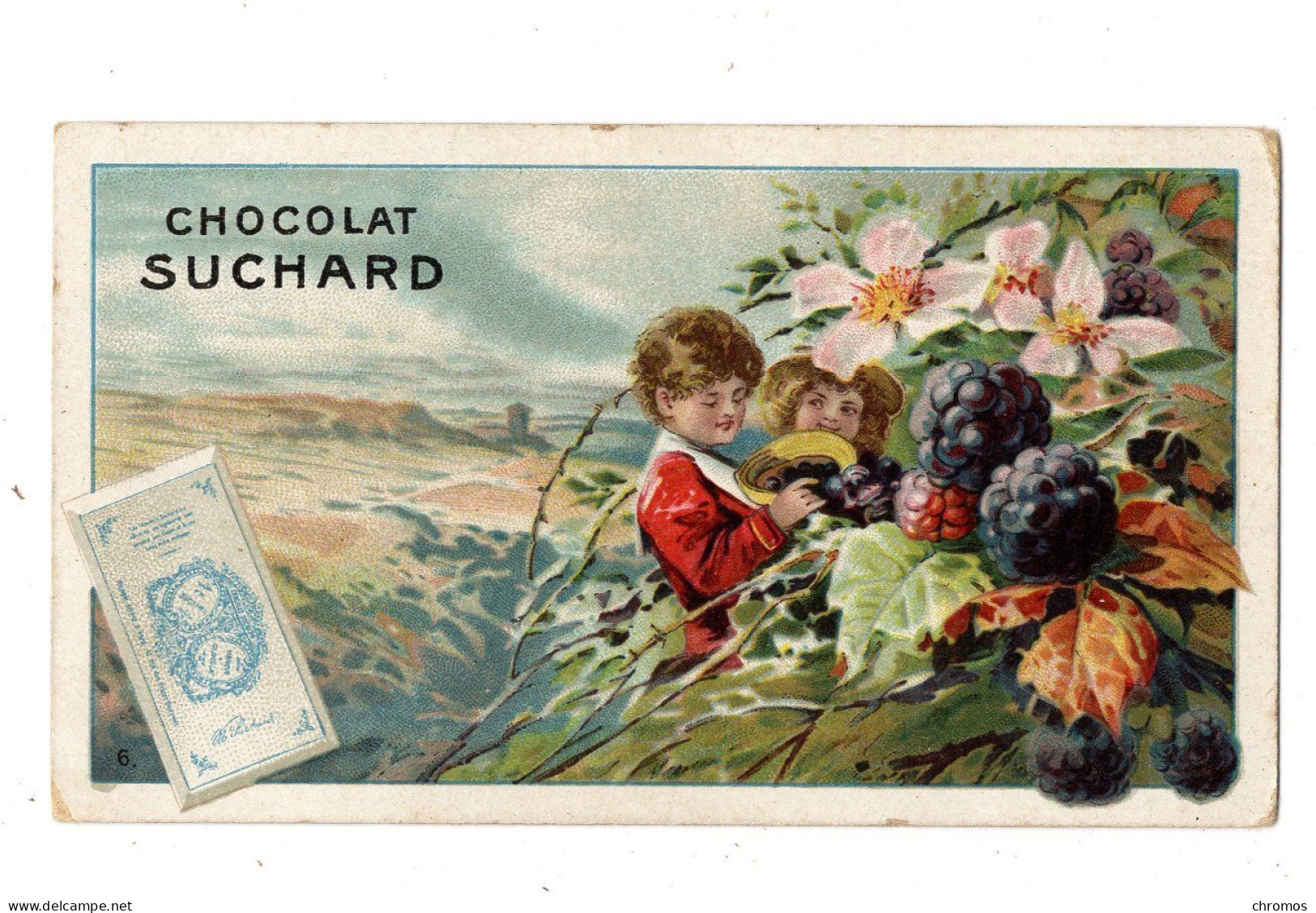 Chromo Chocolat Suchard, S 152 (= S 135) / 6, Enfants Et Fruits - Suchard