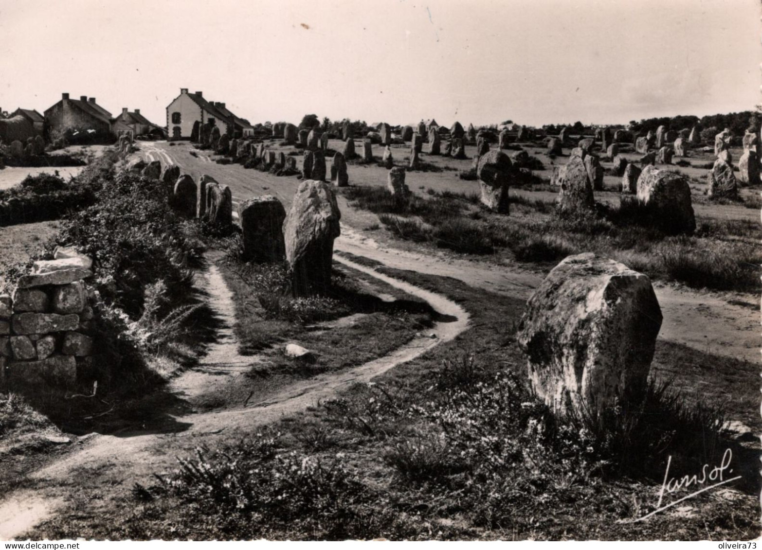 CARNAC - Alignements Du Ménec - Carnac