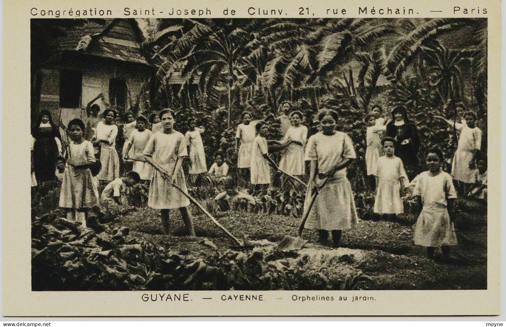 2517 - Guyane -  CAYENNE :  ECOLE  DES  SOEURS - ORPHELINES AU  JARDIN   ..... - Cayenne