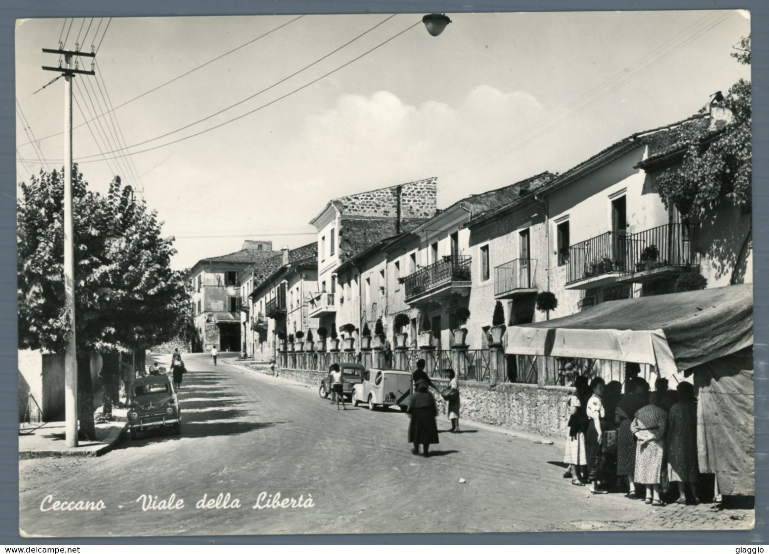 °°° Cartolina - Ceccano Viale Della Libertà - Viaggiata °°° - Frosinone