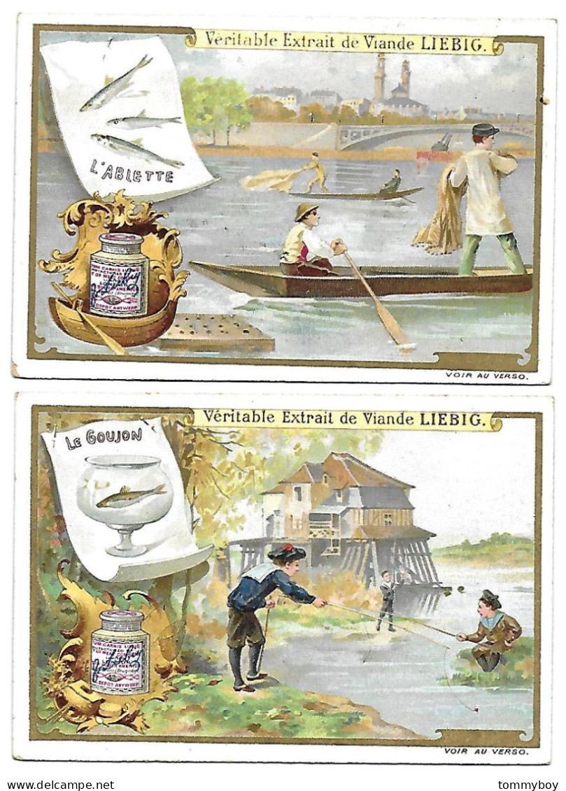 S 599, Liebig 6 Cards, La Peche (ref B13) - Liebig