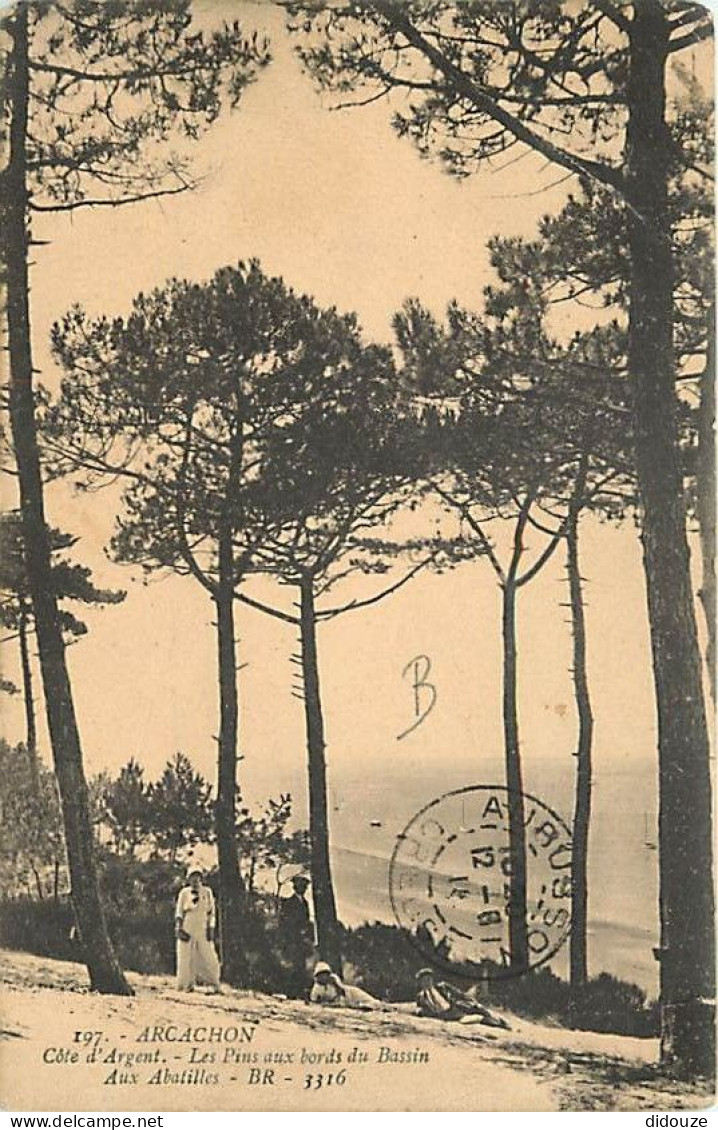 33 - Arcachon - Les Pins Aux Bords Du Bassin - Animée - Oblitération Ronde De 1911 - CPA - Voir Scans Recto-Verso - Arcachon