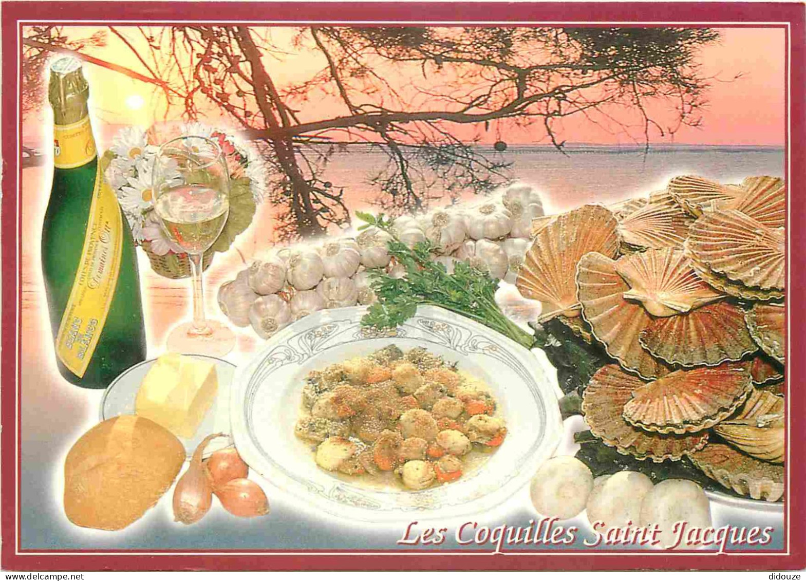 Recettes De Cuisine - Coquilles Saint Jacques - Gastronomie - CPM - Carte Neuve - Voir Scans Recto-Verso - Recipes (cooking)