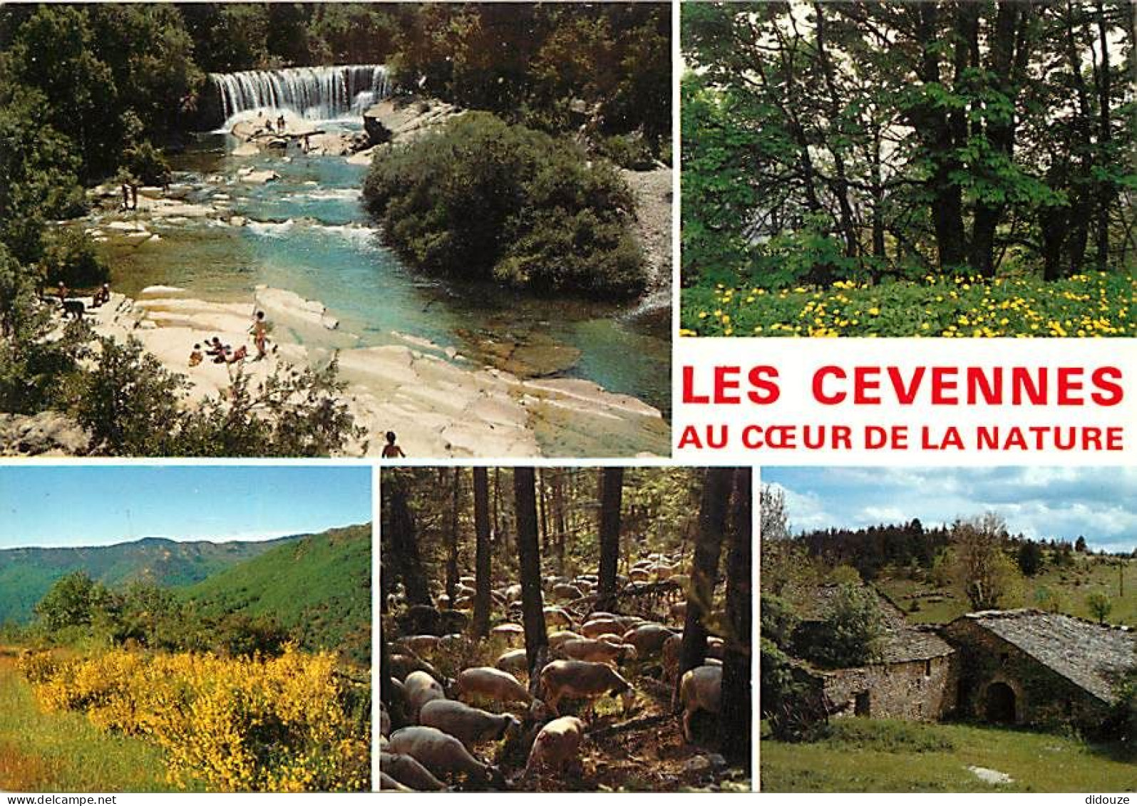 30 - Gard - Les Cévennes - Multivues - Carte Neuve - CPM - Voir Scans Recto-Verso - Andere & Zonder Classificatie