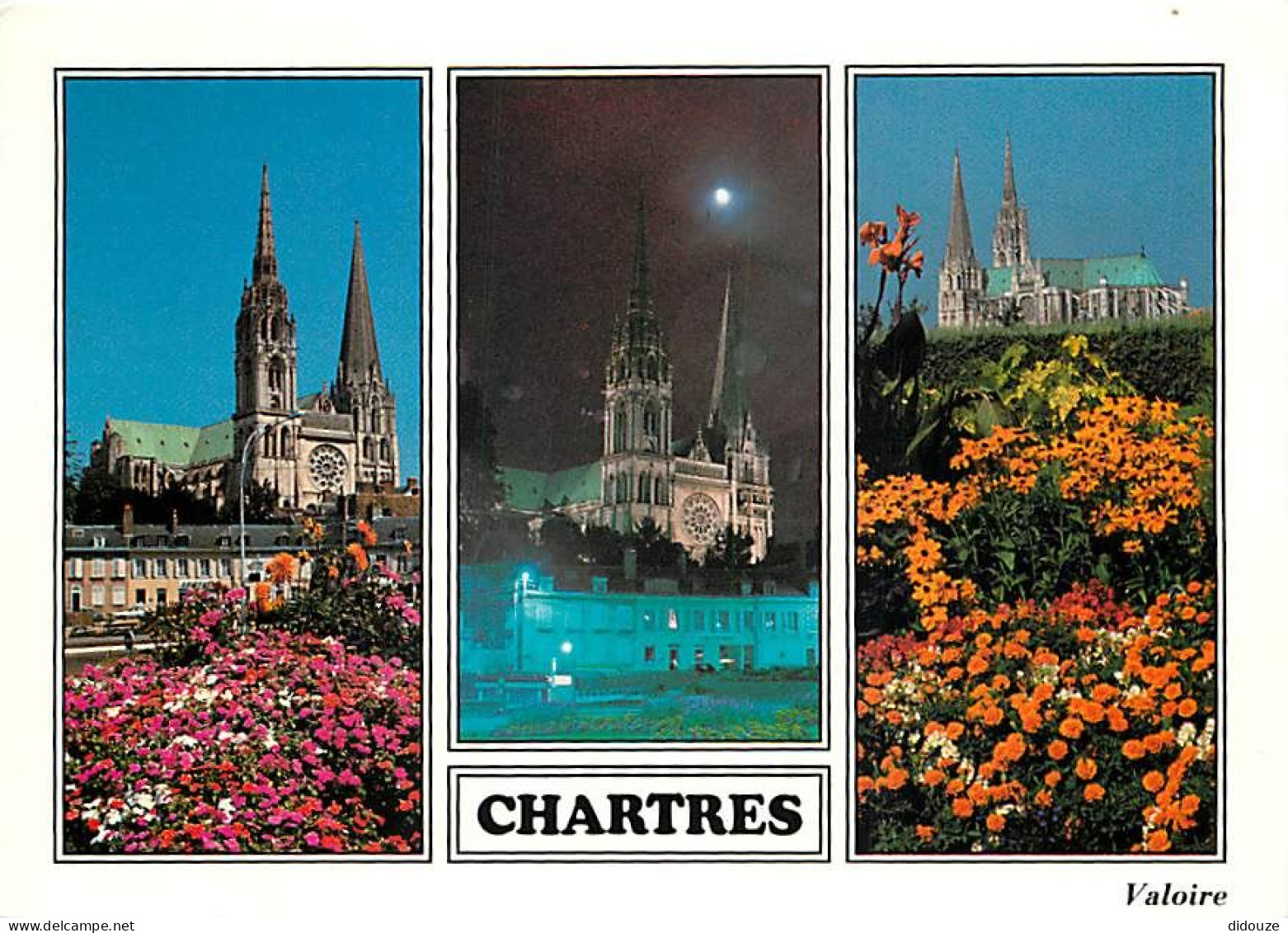 28 - Chartres - Multivues - Fleurs - CPM - Voir Scans Recto-Verso - Chartres