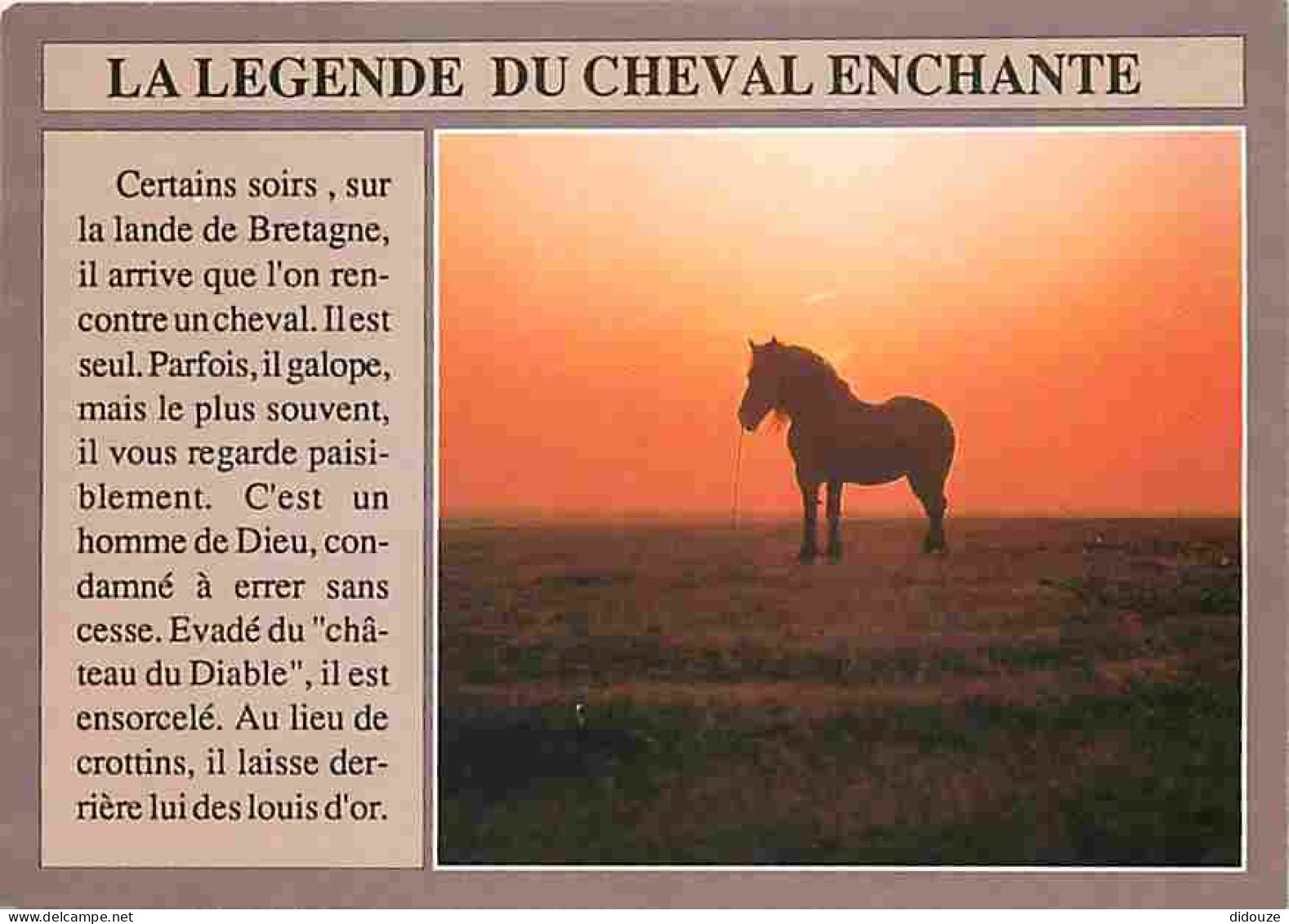 Animaux - Chevaux - La Légende Du Cheval Enchanté - Coucher De Soleil - Voir Scans Recto Verso  - Chevaux