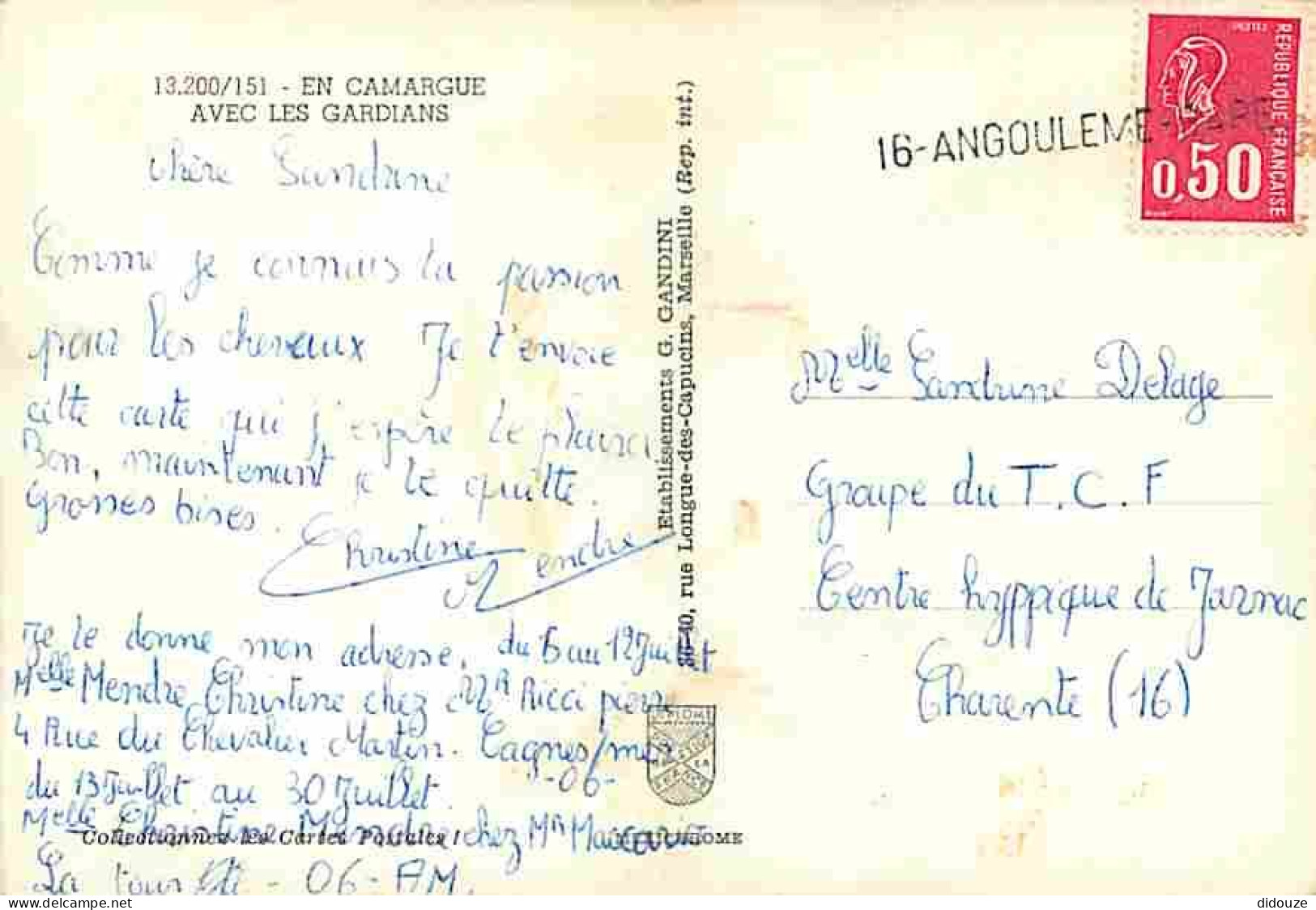 Animaux - Chevaux - Camargue - Multivues - Gardians - Voir Scans Recto Verso  - Horses