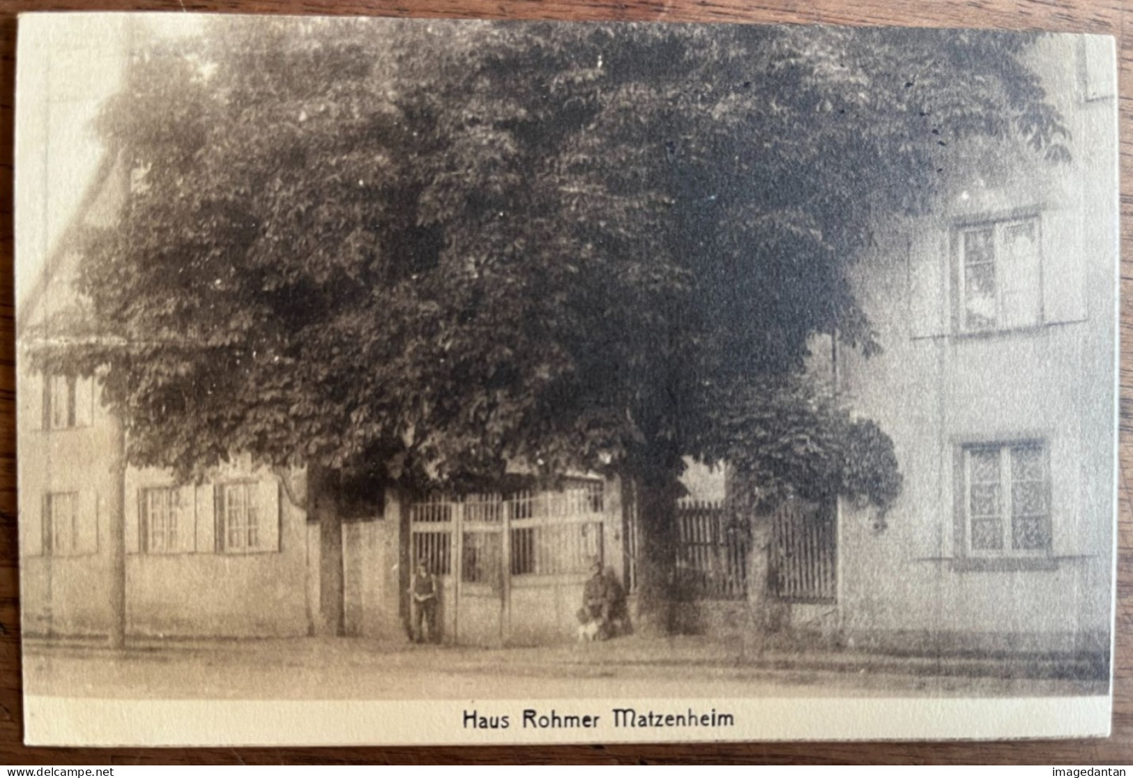 Matzenheim - Haus Rohmer - Belle Image - Jul. Manias - Other & Unclassified
