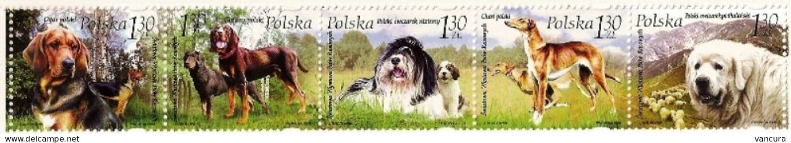 ** 4126-30 Poland Dogs 2006 - Chiens