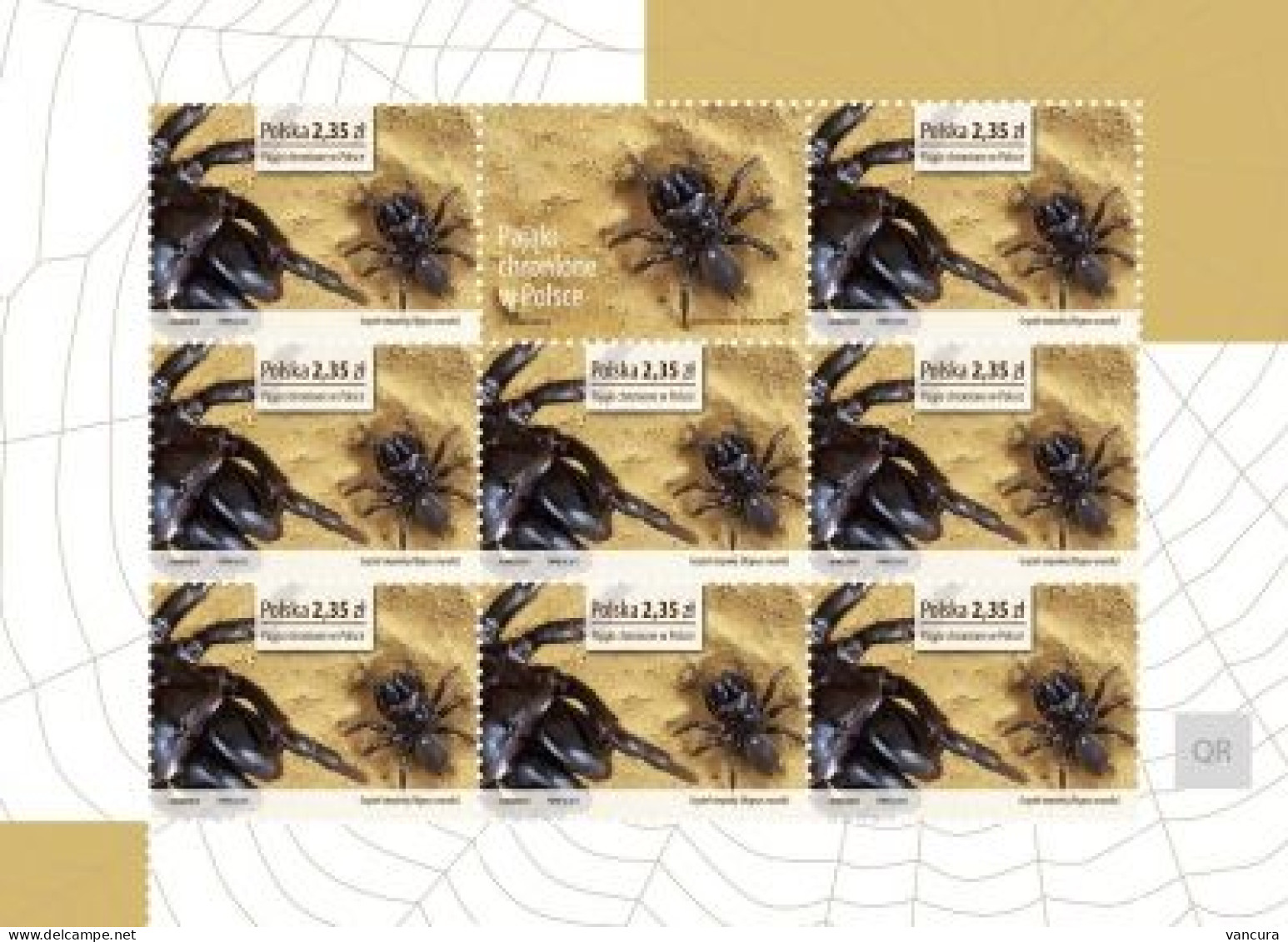 **A 4504-7 Poland Protected Spiders 2013 - Arañas
