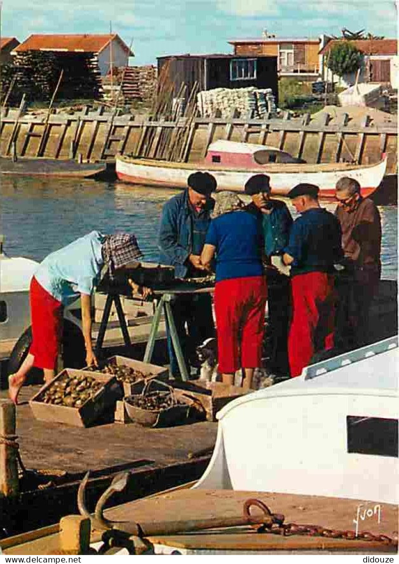 Metiers - Ostréiculture - Culture Des Huitres - Ostréiculteur - Bassin D'Arcachon - Le Triage Des Huîtres - Carte Neuve  - Pêche