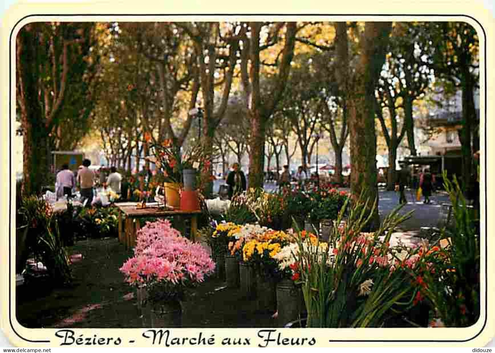 Marchés - Béziers - Marchés Aux Fleurs - CPM - Voir Scans Recto-Verso - Marchés