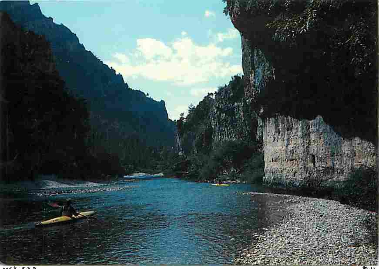 48 - Les Gorges Du Tarn - Descente En Canoé - CPM - Voir Scans Recto-Verso - Gorges Du Tarn