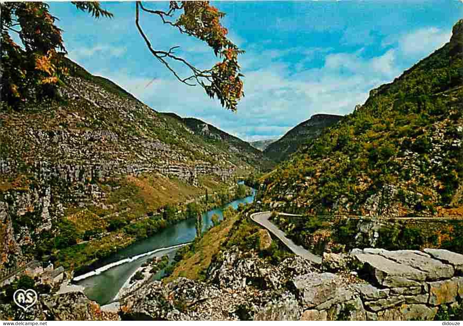 48 - Les Gorges Du Tarn - Vue Panoramique Sur La Vallée Du Tarn - La Malène - CPM - Voir Scans Recto-Verso - Gorges Du Tarn