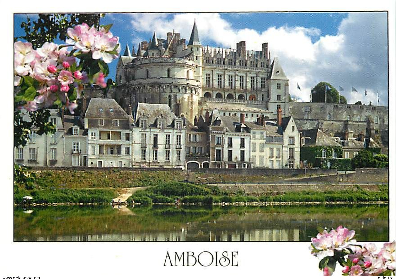 37 - Amboise - Le Château - La Tour Des Minimes - Le Logis Du Roi Dominant La Loire - Fleurs - Carte Neuve - CPM - Voir  - Amboise