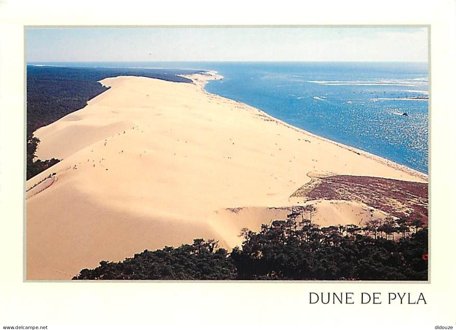 33 - Dune Du Pyla - Vue Aérienne - Flamme Postale De Parentis En Born - Bassin D'Arcachon - CPM - Voir Scans Recto-Verso - Other & Unclassified