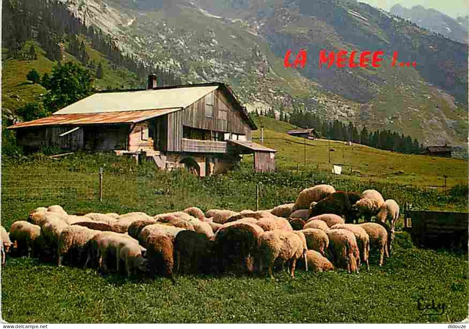 Animaux - Moutons - Moutons Au Repos - CPM - Voir Scans Recto-Verso - Autres & Non Classés